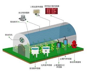 溫室大棚水肥一體化系統解決方案