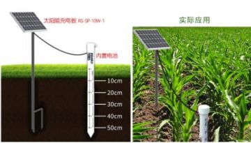 無線墑情監測站在小麥生長發育過程中的應用